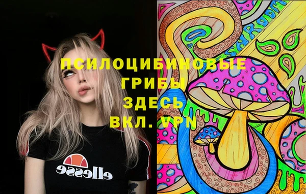 ПСИЛОЦИБИНОВЫЕ ГРИБЫ Баксан