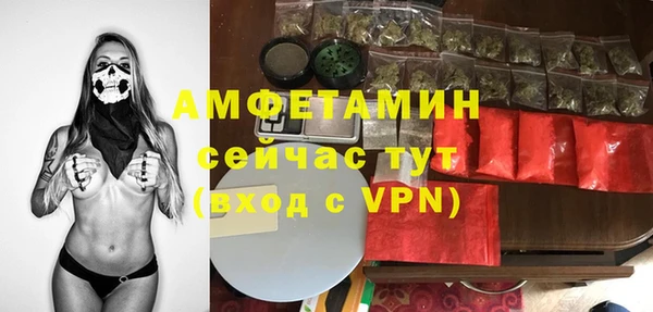 ПСИЛОЦИБИНОВЫЕ ГРИБЫ Баксан
