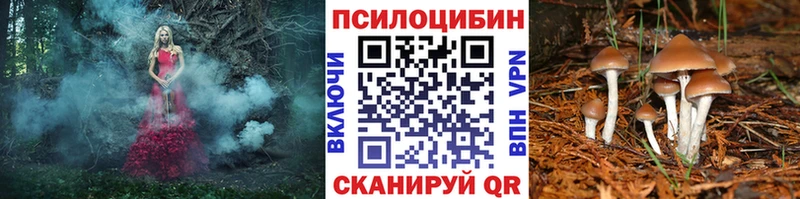 Галлюциногенные грибы Psilocybine cubensis  Черняховск 