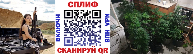 МАРИХУАНА Ganja  Черняховск 